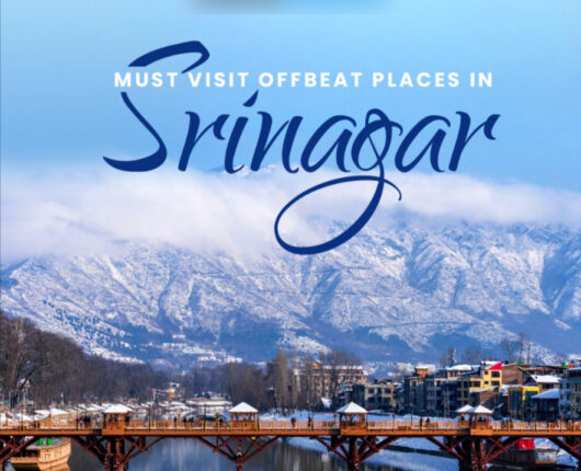 10 Must Visit Places in Srinagar { 2023 }
