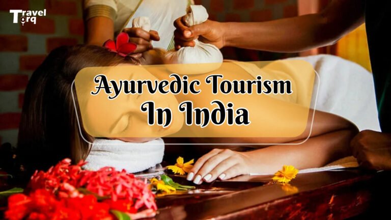 SEO BLog Cover_ 22401260_Travel Torq (1)