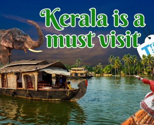 Kerala is a Must Visit! Discover God’s Own Country with