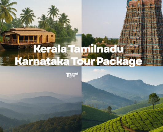 How to Plan a South India Circuit (Kerala, Tamil Nadu, Karnataka) via Bangalore