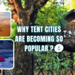 SEO BLog Cover_ 22401260_Travel Torq (14)