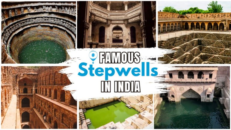 SEO BLog Cover_ 22401260_Travel Torq (8)