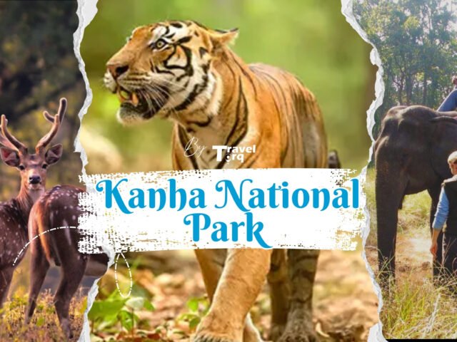 Kanha National Park – Complete Travel Guide by