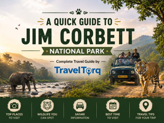 A Quick Guide to Jim Corbett National Park