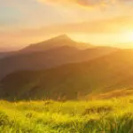 Group logo of Nature