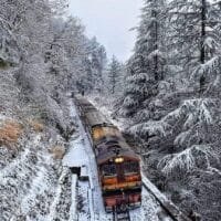 FB_IMG_1674228559476 