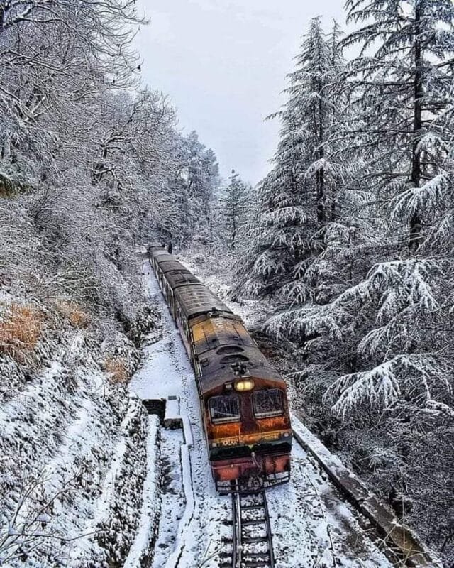 FB_IMG_1674228559476