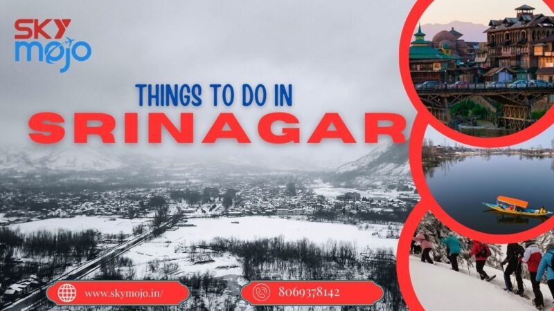 Things to do in srinagar​