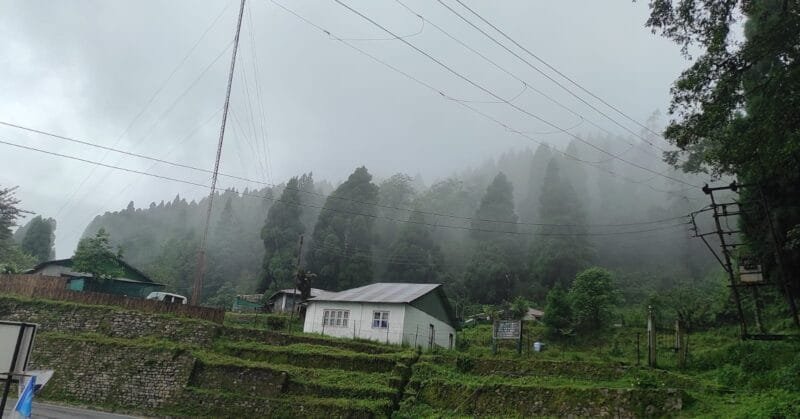 IMG_20221008_184231_093