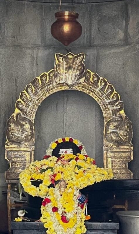 Screenshot_2023-02-18-15-41-49-62_6012fa4d4ddec268fc5c7112cbb265e7~2