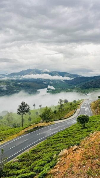 FB_IMG_1668617858481