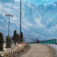 136047650_1304579143261859_7282902639586056960_o 